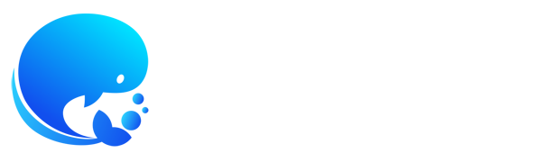 量子云网