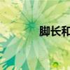 脚长和身高的关系公式是什么