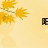 阳光瓦寿命多长时间