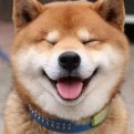 禾岑科普社的头像
